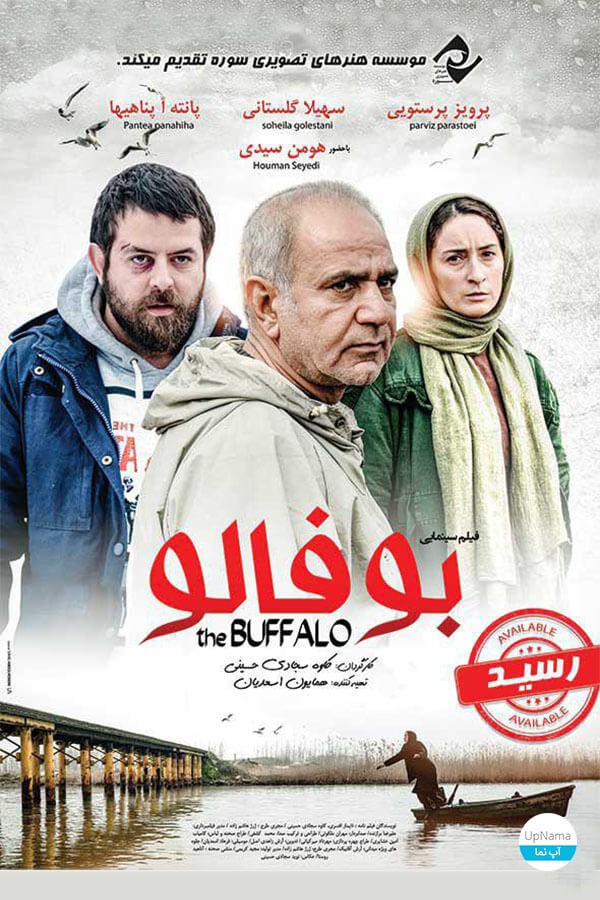 بوفالو