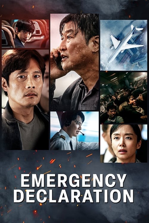 اعلامیه اضطراری