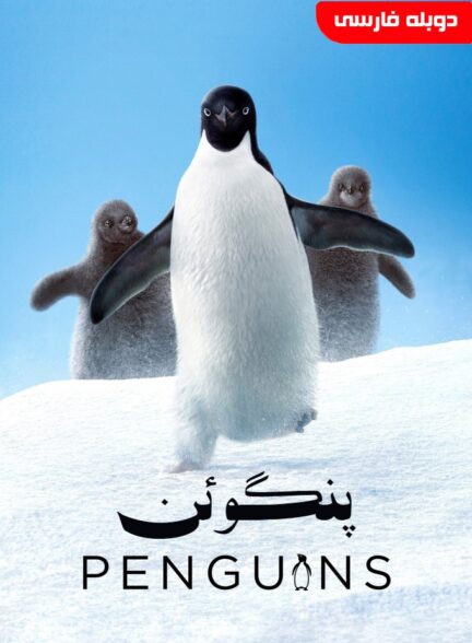 پنگوئن