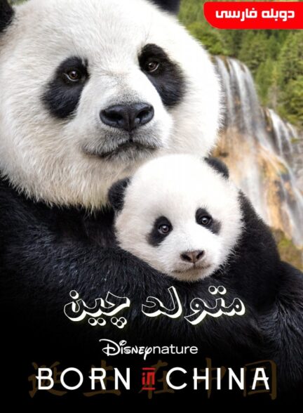 متولد چین