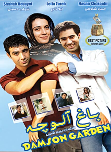 باغ آلوچه