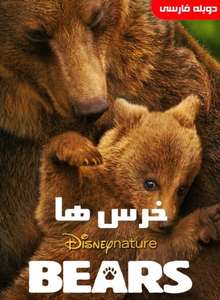 خرس ها