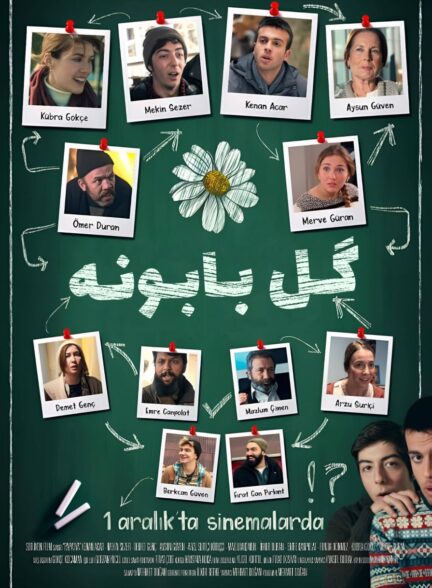 گل بابونه