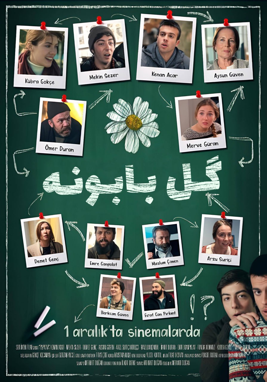 گل بابونه