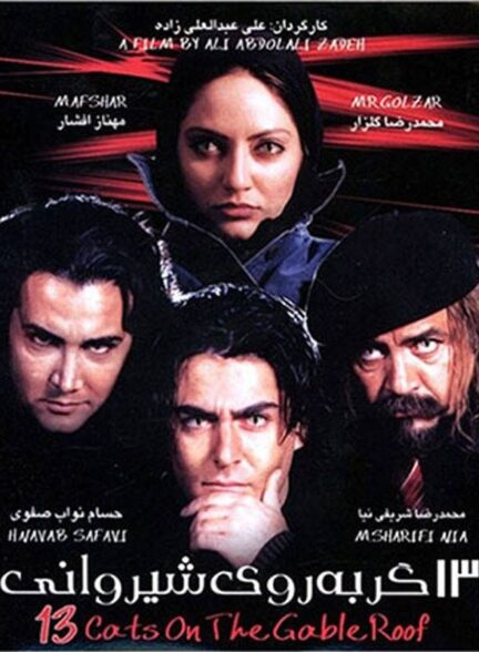 سیزده گربه روی شیروانی