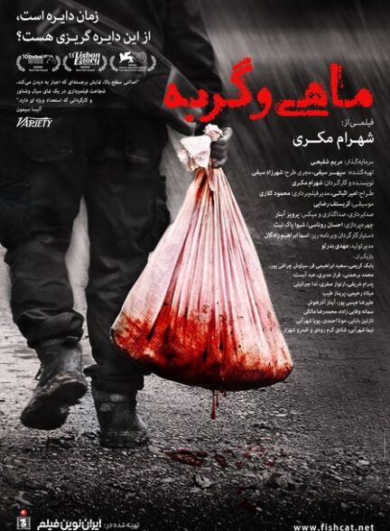 ماهی و گربه