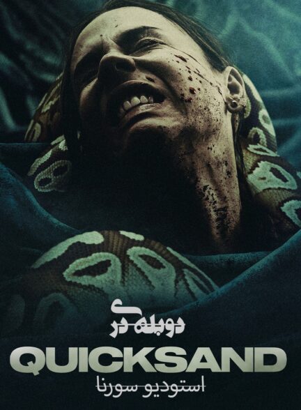باتلاق شنی