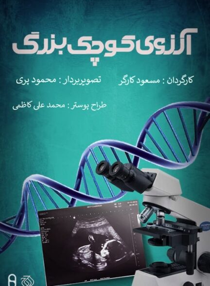 آرزوی کوچک و بزرگ