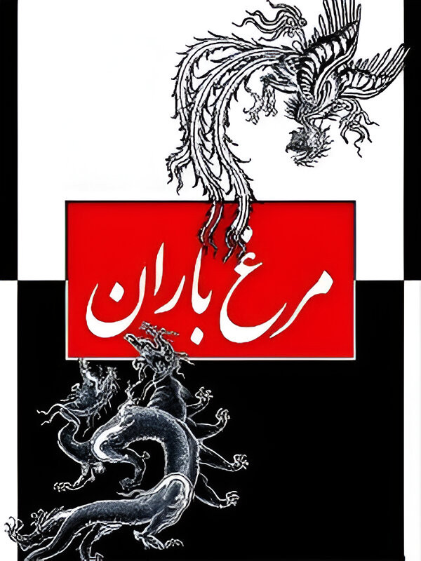 مرغ باران