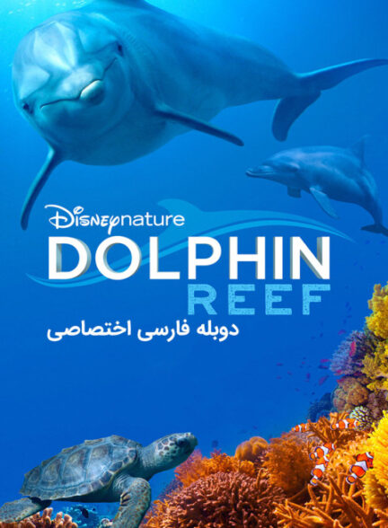 صخره دلفین