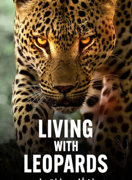 زندگی با پلنگ ها