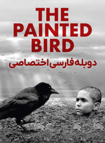 پرنده رنگین