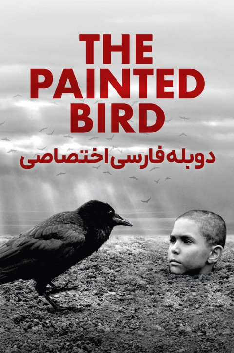 پرنده رنگین