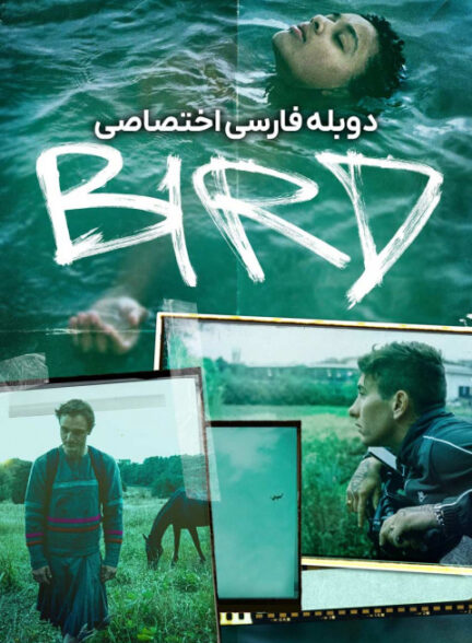 پرنده