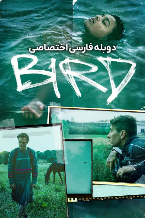 پرنده