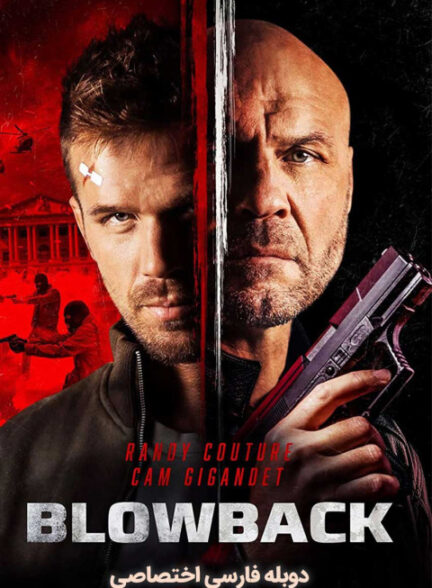 ضربه انتقام
