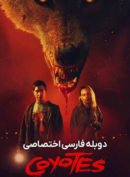کایوتی ها