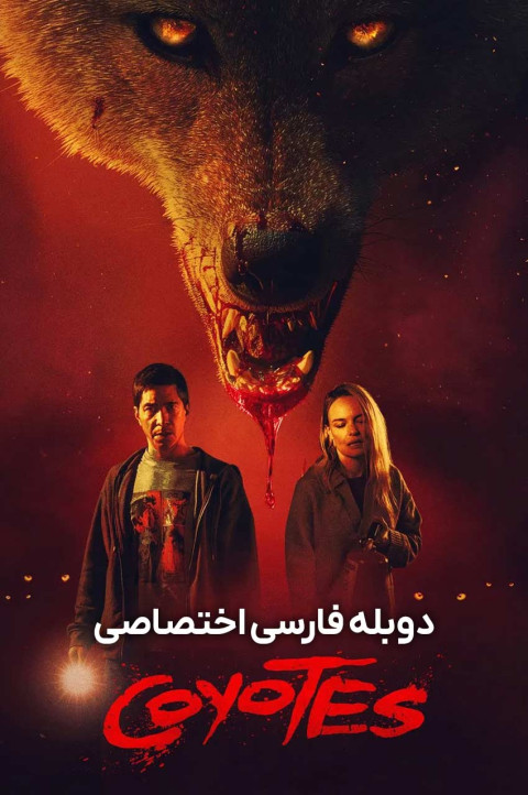 کایوتی ها