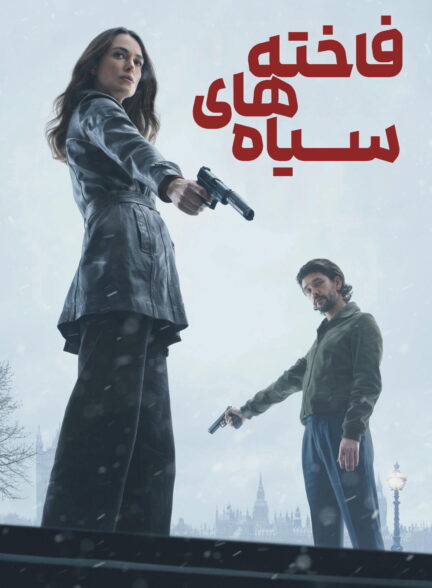 کبوتر سیاه