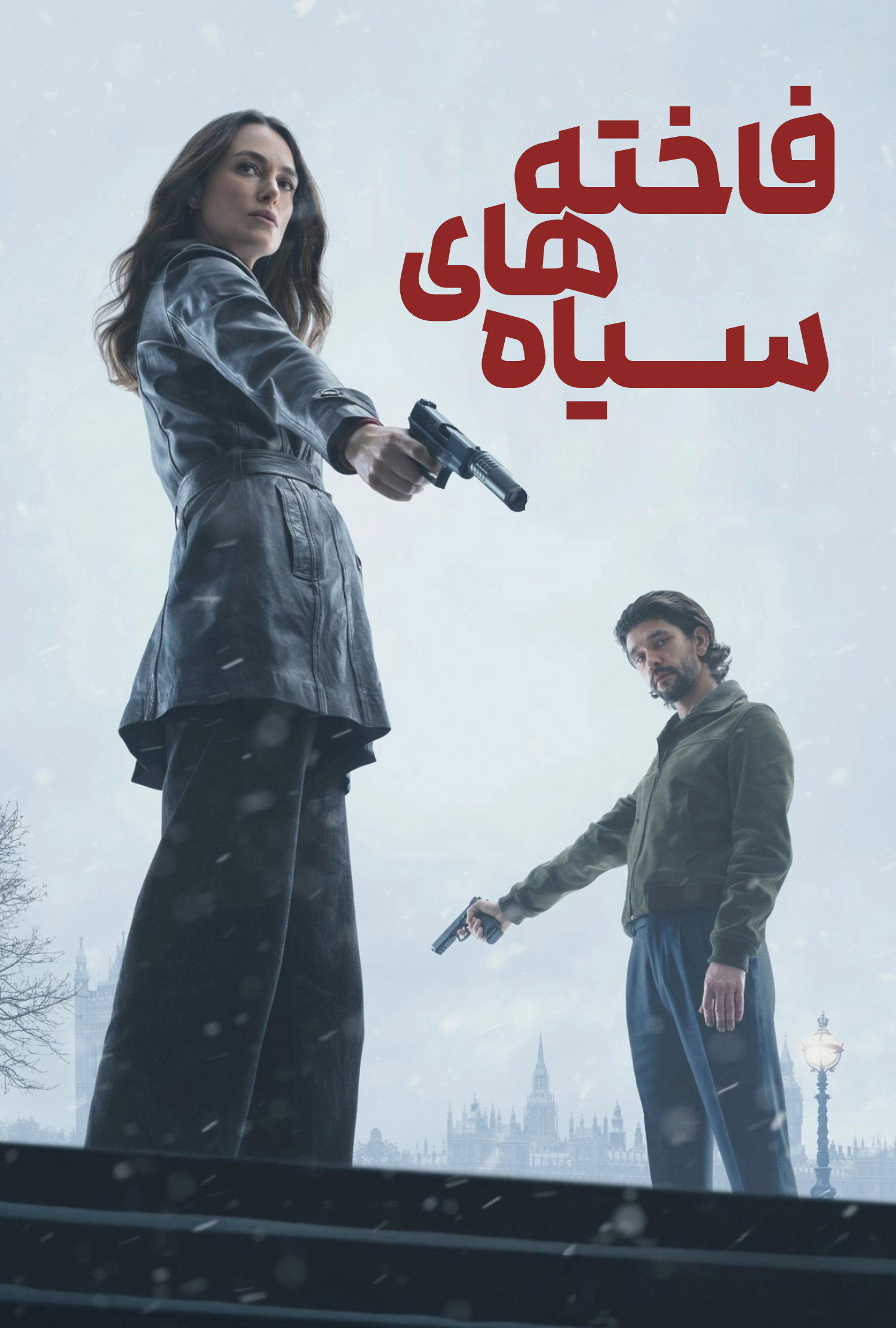 کبوتر سیاه