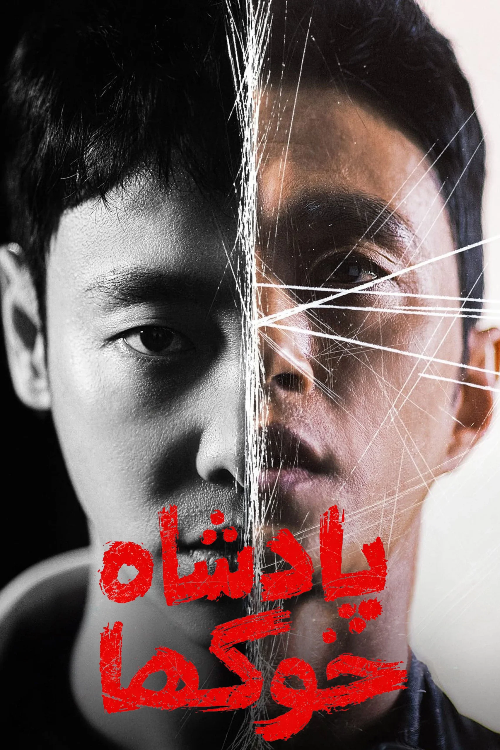 پادشاه خوک ها